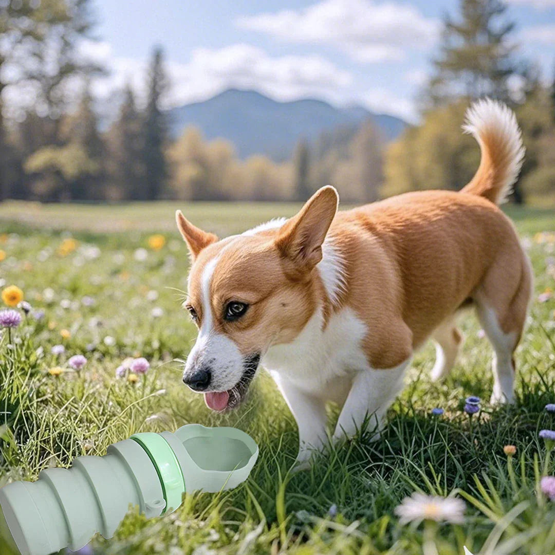 Collapsible Water Bottle for Pets – Travel-Friendly Design