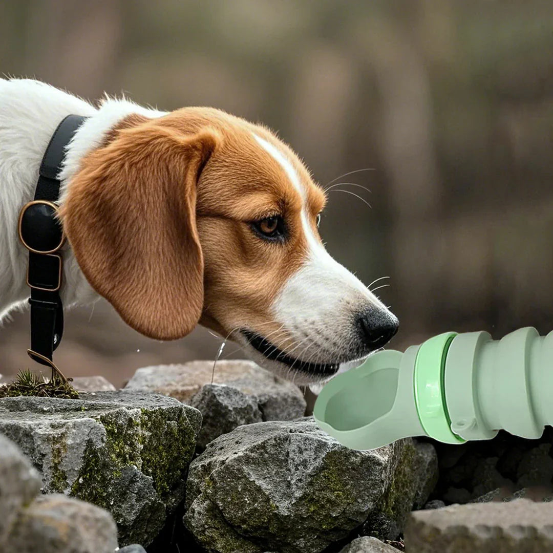 Collapsible Water Bottle for Pets – Travel-Friendly Design