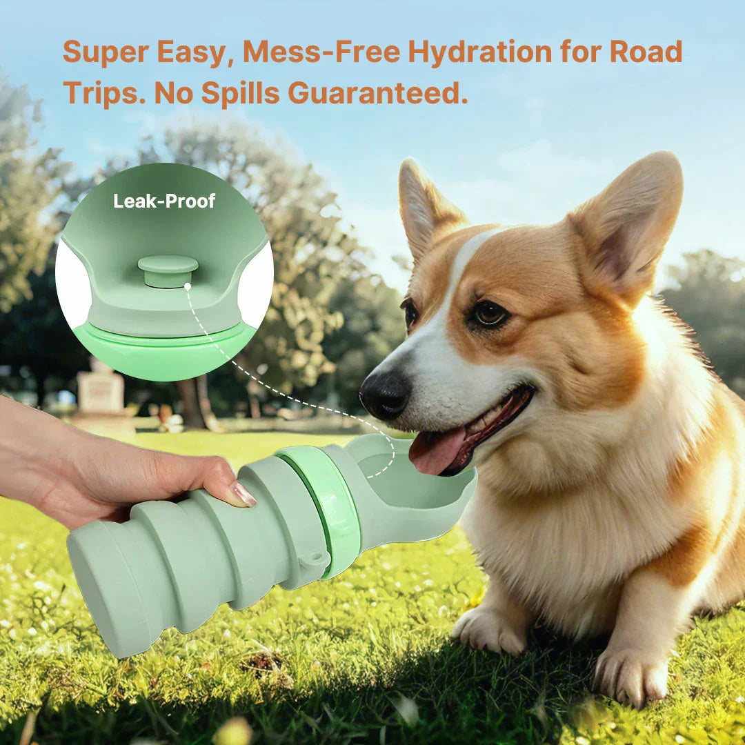 Collapsible Water Bottle for Pets – Travel-Friendly Design