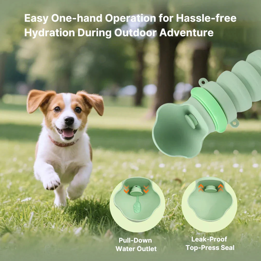 Collapsible Water Bottle for Pets – Travel-Friendly Design