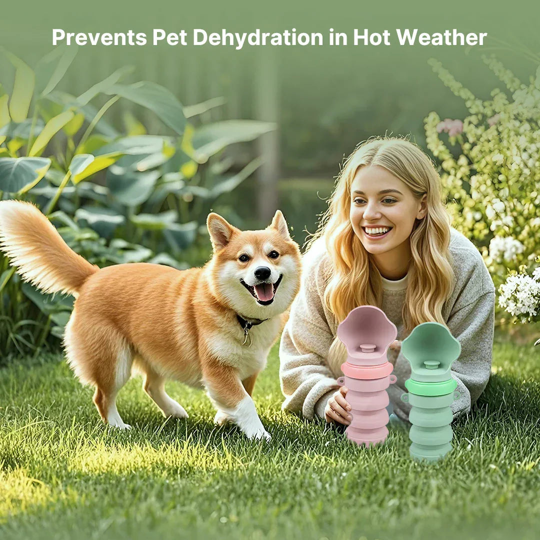 Collapsible Water Bottle for Pets – Travel-Friendly Design