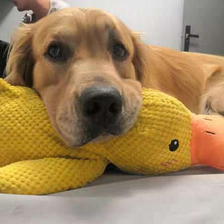 Interactive Dog Toy Duck with Quacking Sound for Pets