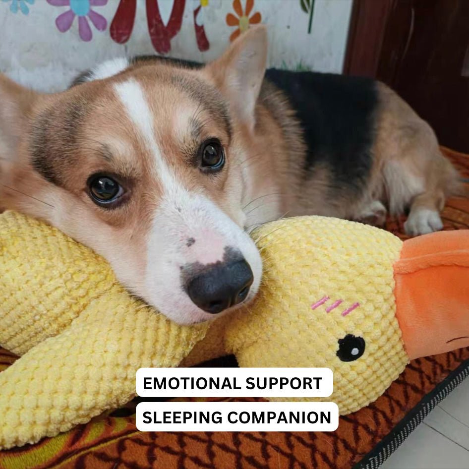 Interactive Dog Toy Duck with Quacking Sound for Pets