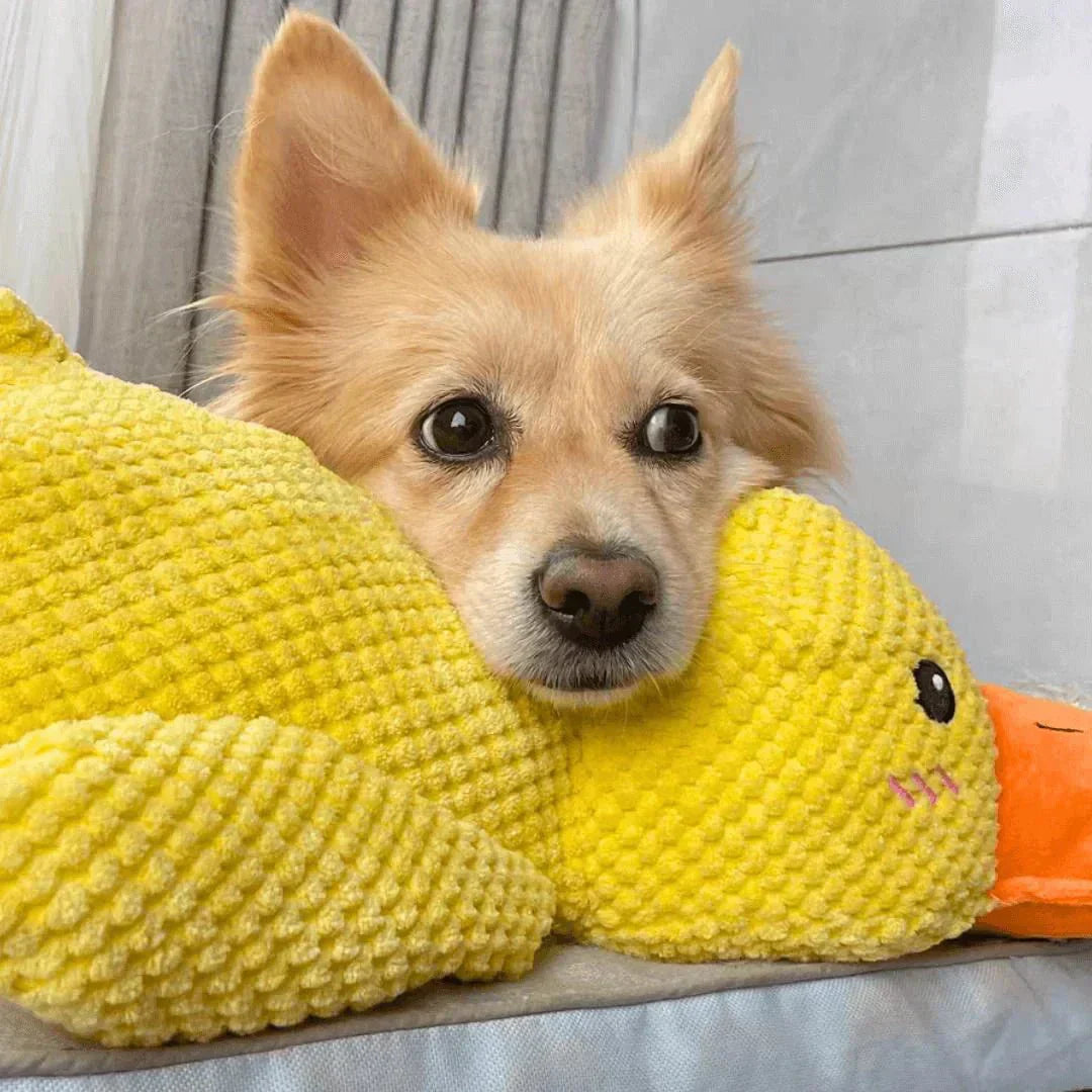 Interactive Dog Toy Duck with Quacking Sound for Pets