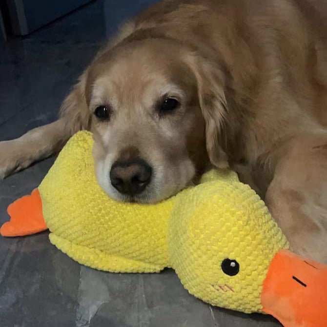 Interactive Dog Toy Duck with Quacking Sound for Pets