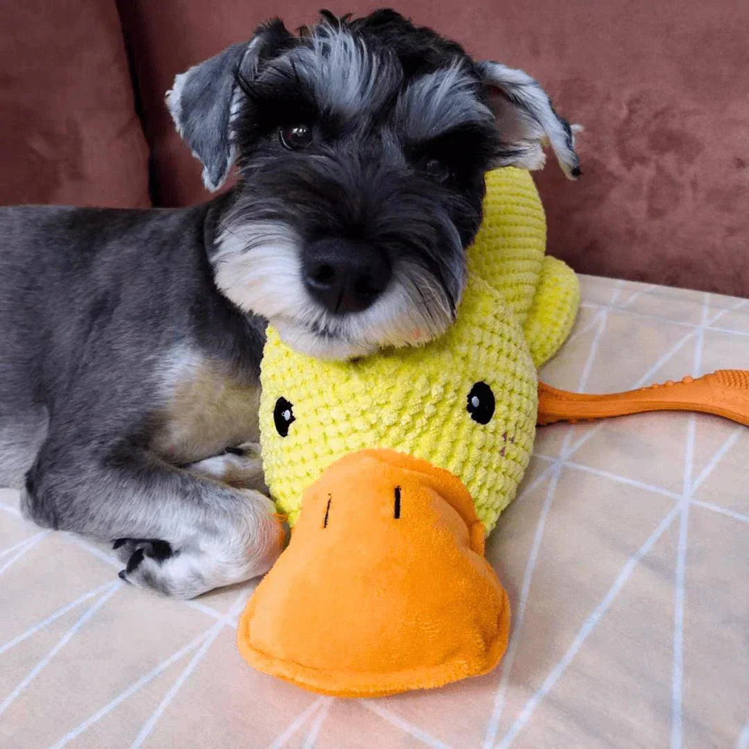 Interactive Dog Toy Duck with Quacking Sound for Pets