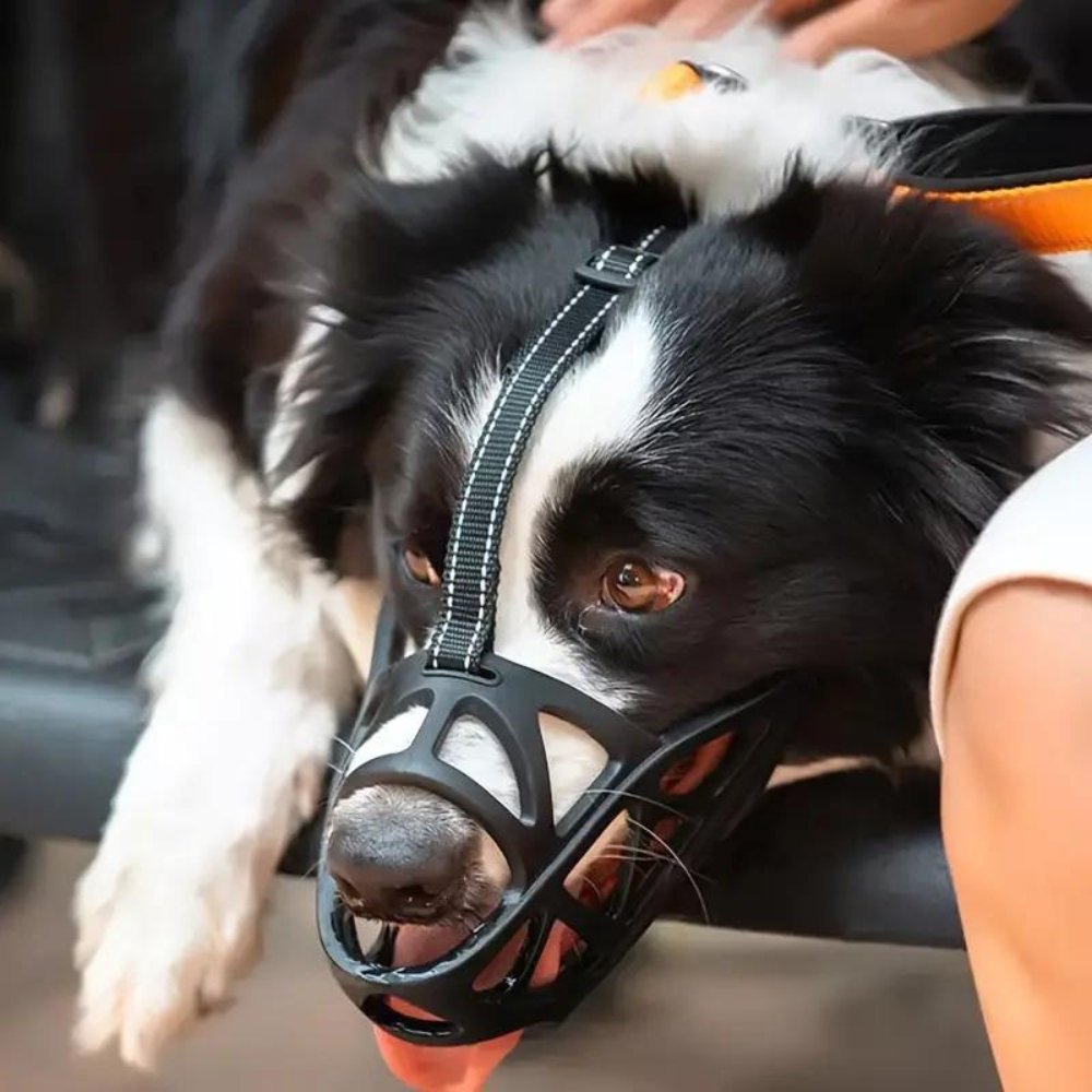 Breathable Dog Muzzle for Barking and Biting Control