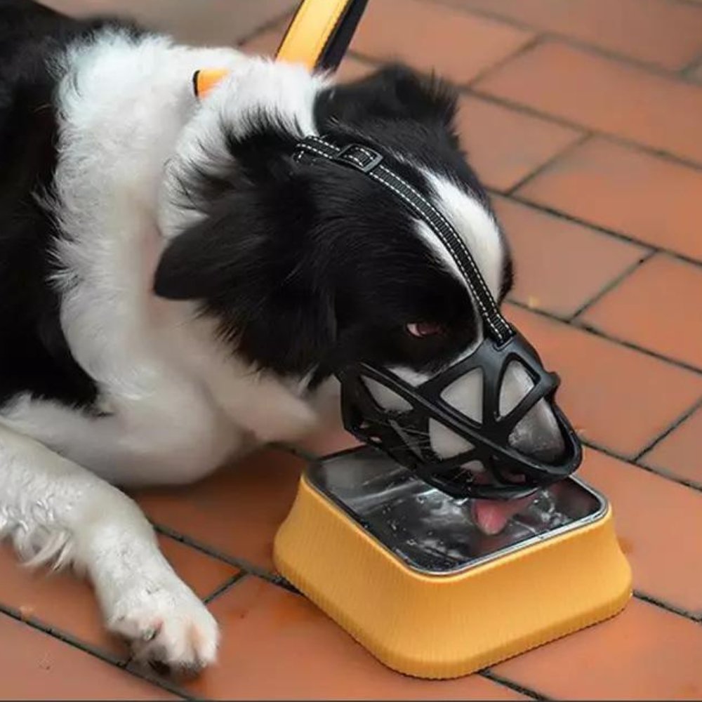 Breathable Dog Muzzle for Barking and Biting Control