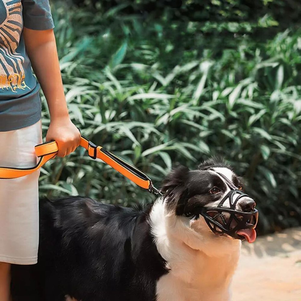 Breathable Dog Muzzle for Barking and Biting Control
