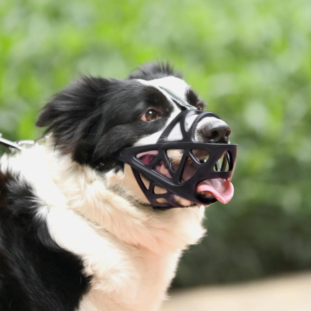 Breathable Dog Muzzle for Barking and Biting Control