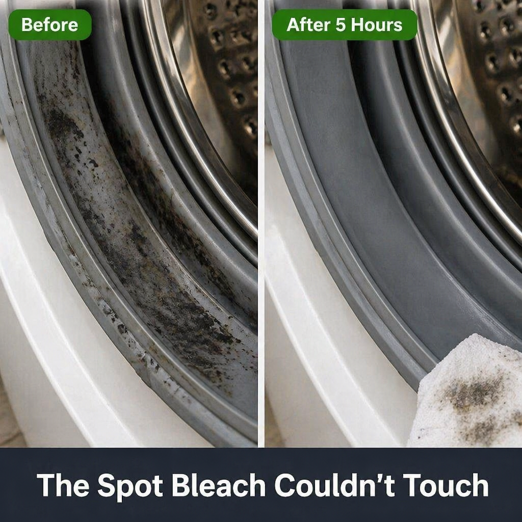 MoldClearPro™ — Erase Black Mold From Silicone, Grout & Rubber Seals In Hours