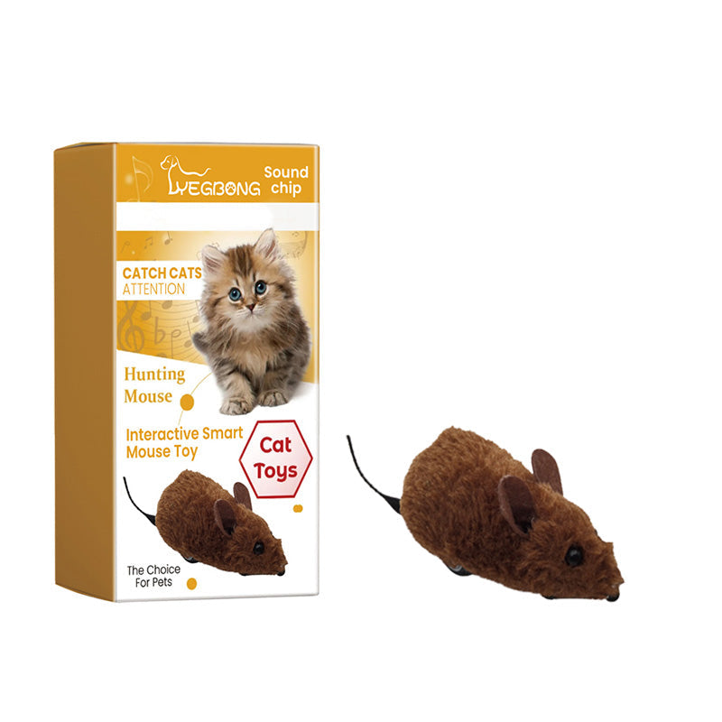 Endless Play Fun for Dogs and Cats