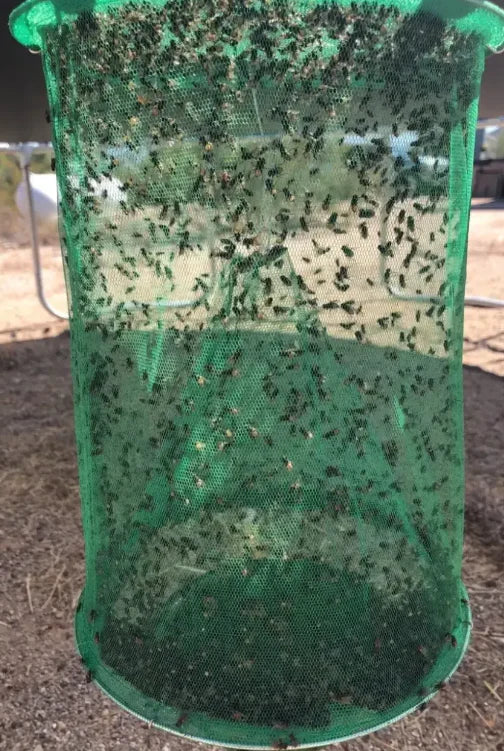 Fly Trap – Captures up to 40,000 Flies