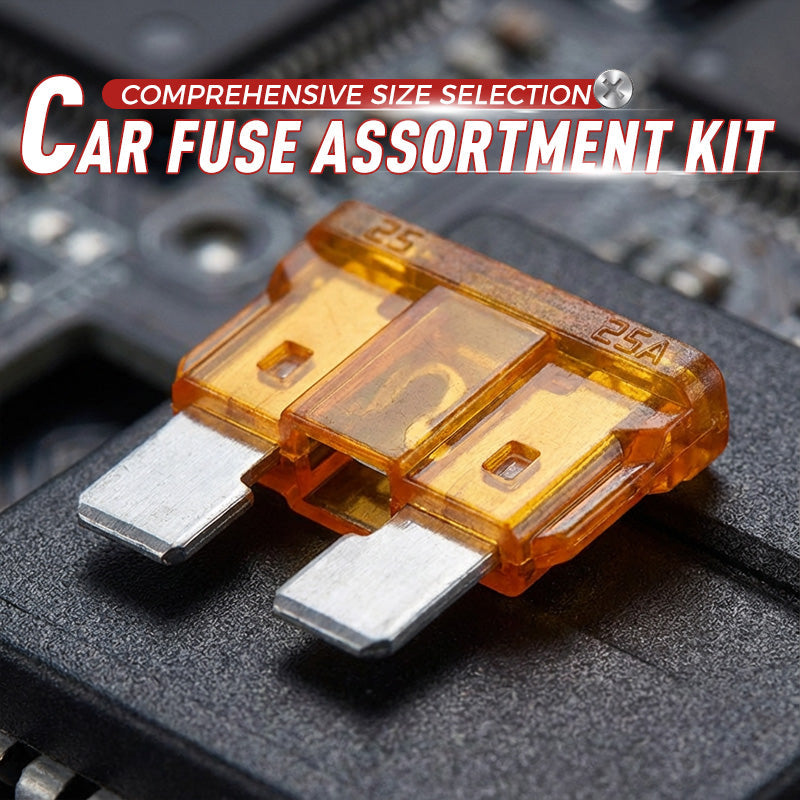 300-Piece Automotive Fuse Assortment with Puller Tool