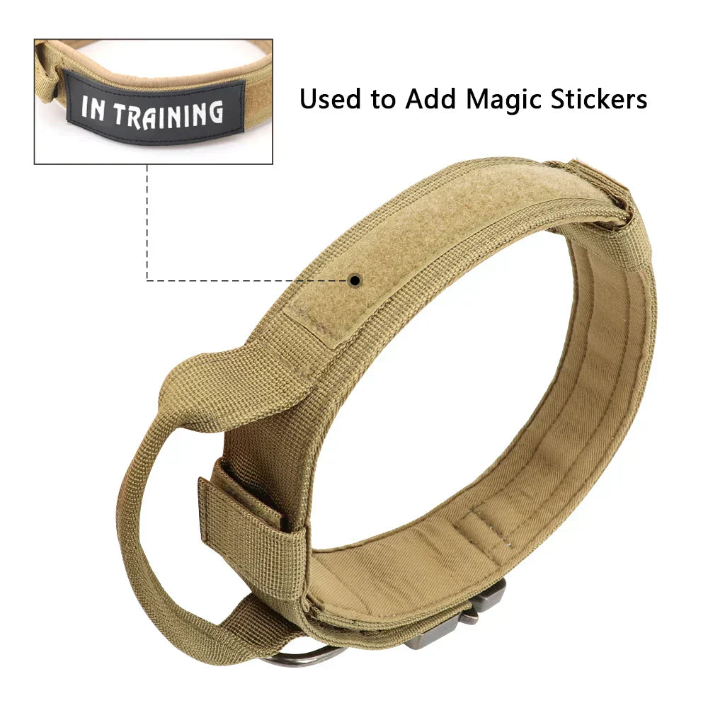 Dog Collar with Bungee Leash Set and Control Handle for Training
