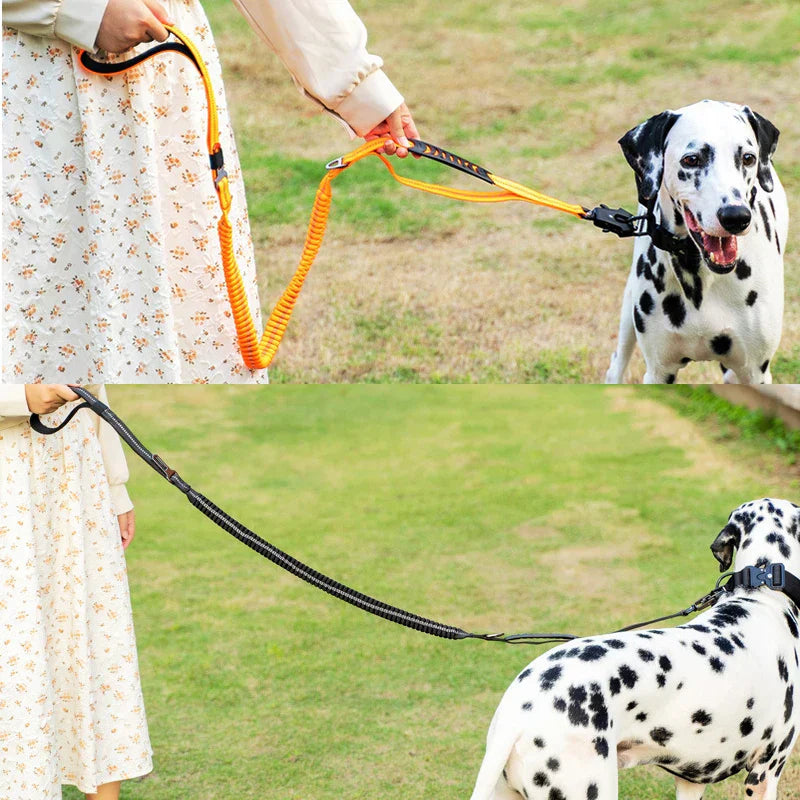 Heavy Duty Bungee Dog Leash for K9 with Two Handles