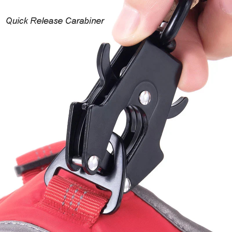 Heavy Duty Bungee Dog Leash for K9 with Two Handles