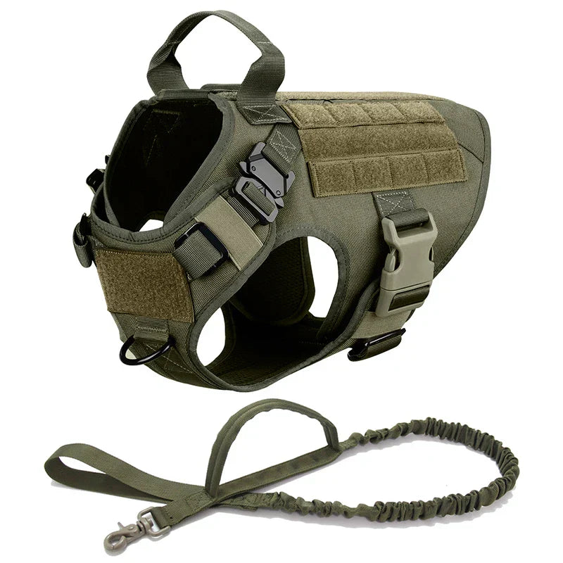 No-Pull Dog Harness for Training and Outdoor Activities