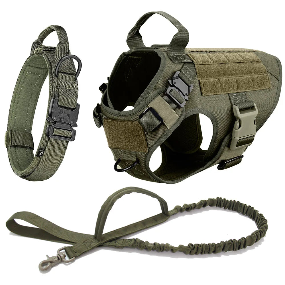 No-Pull Dog Harness for Training and Outdoor Activities