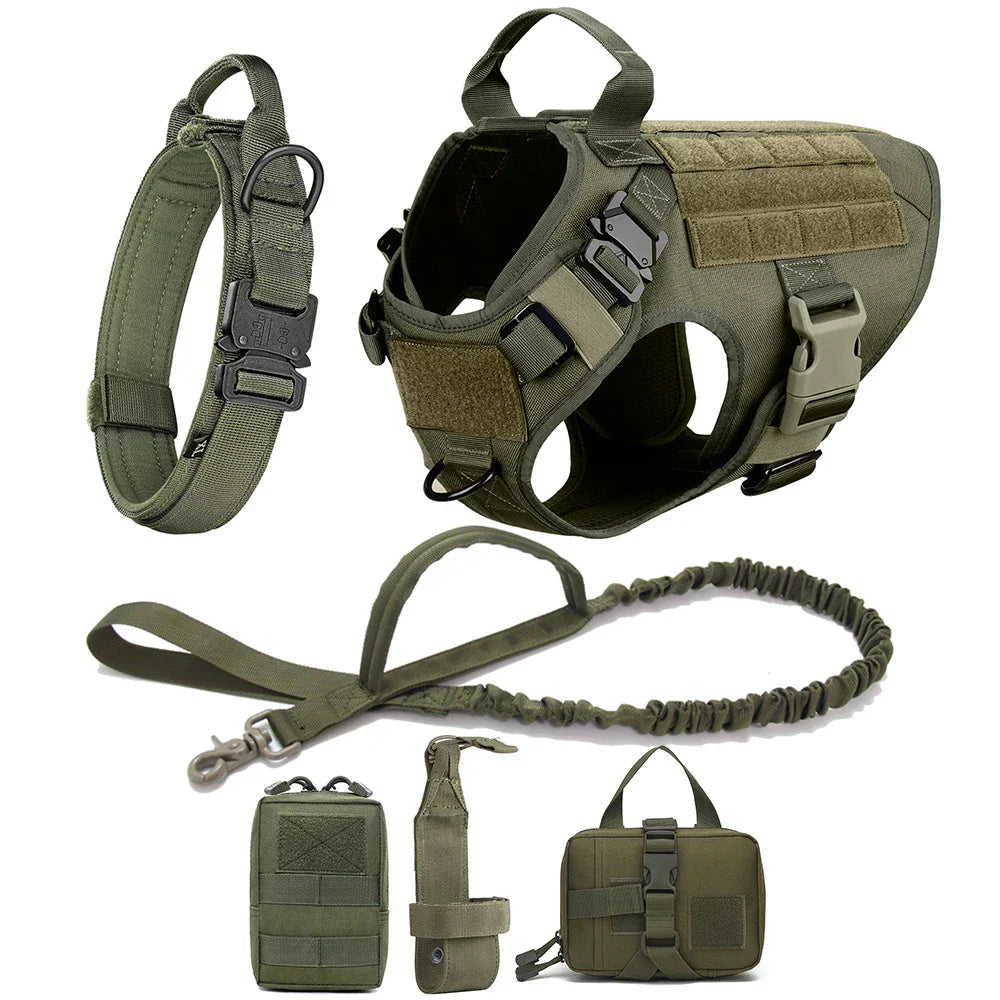 No-Pull Dog Harness for Training and Outdoor Activities