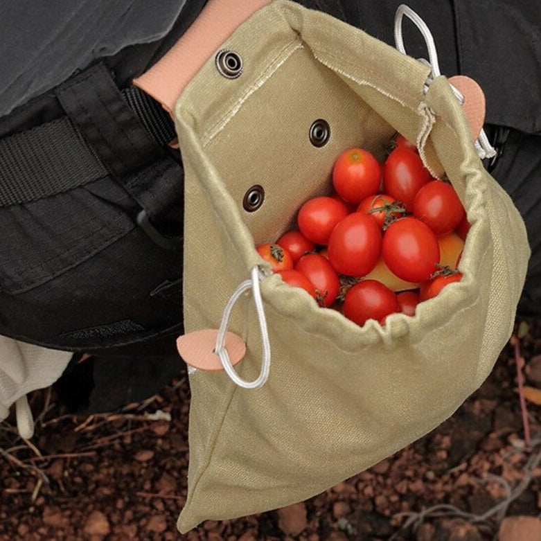 Fashionable Travel Waist Bag for Essentials