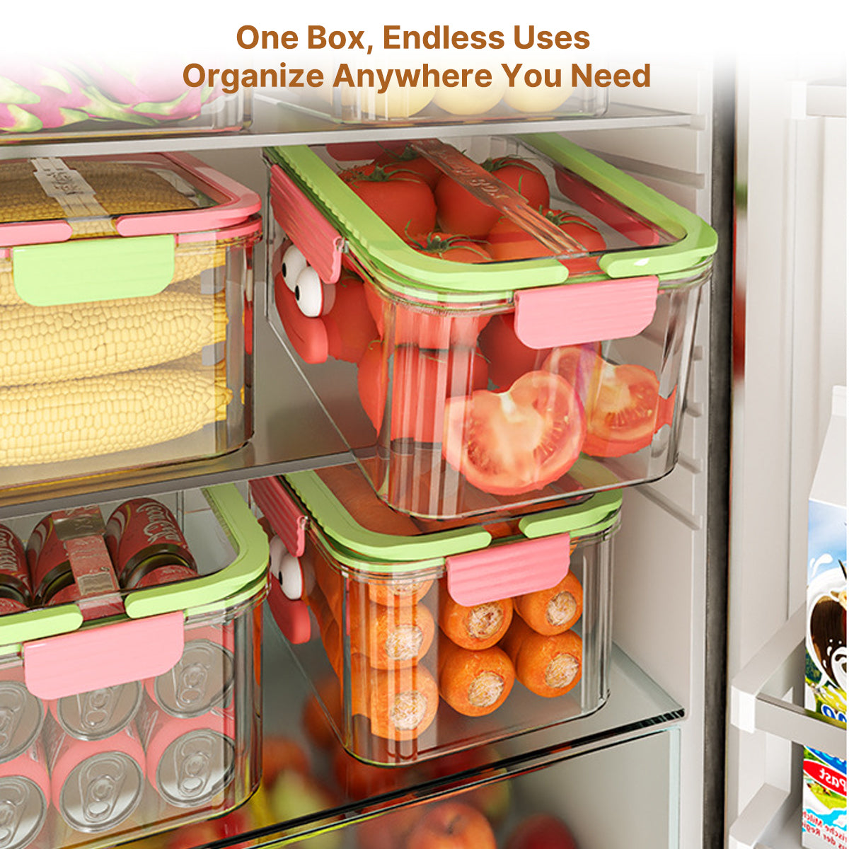 Container for Storing Fresh Food