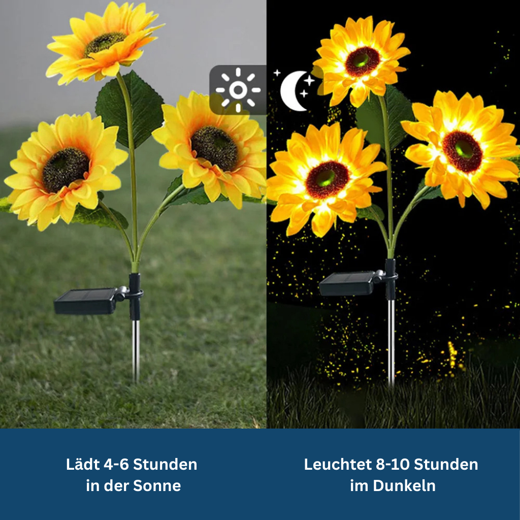 Garden Flower Lights with LED – Solar Powered Decorative Illumination