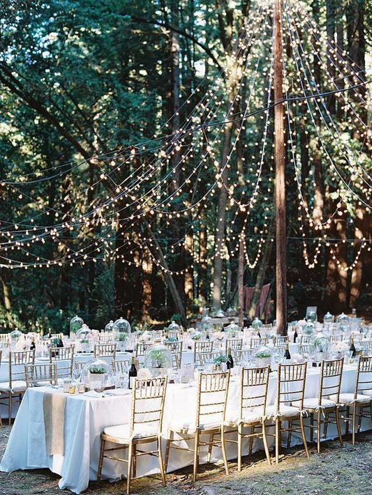 Outdoor String Lights 800LED/330FT with Remote for Wedding and Christmas - If you say i do