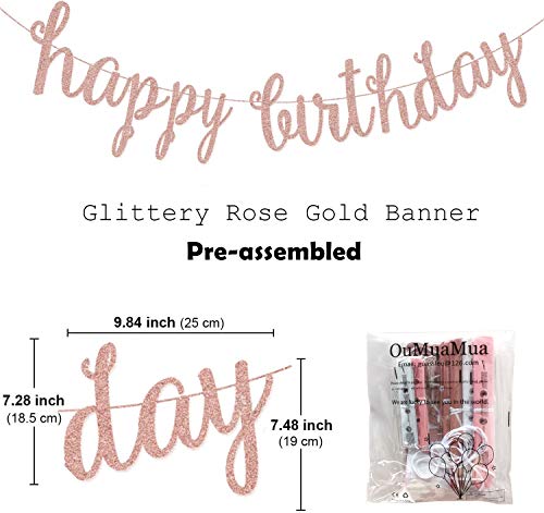Pink Rose Gold Birthday Party Pom Pom Decorations Set