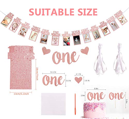 Rose Gold 1st Birthday Baby Photo Banner for First Birthday Party Decoration