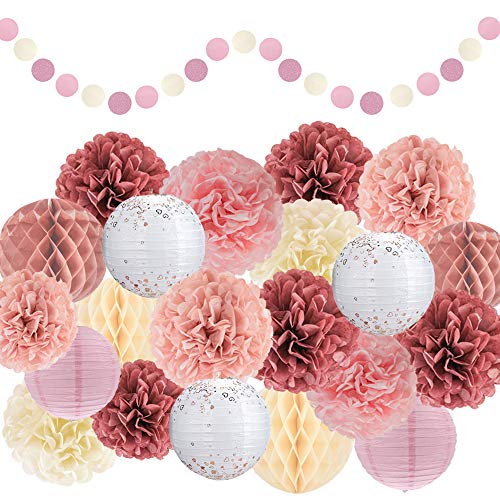 22pcs Hanging Tissue Paper Pom Poms for Birthday Party and Wedding