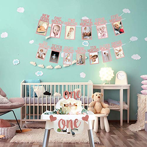 Rose Gold 1st Birthday Baby Photo Banner for First Birthday Party Decoration