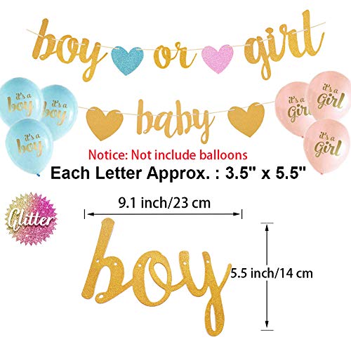 Gender Reveal Party Decorations - Glitter Letters Baby Boy or Girl Banners
