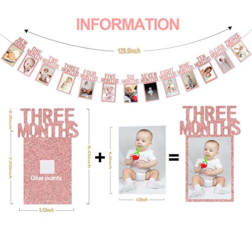 Rose Gold 1st Birthday Baby Photo Banner for First Birthday Party Decoration