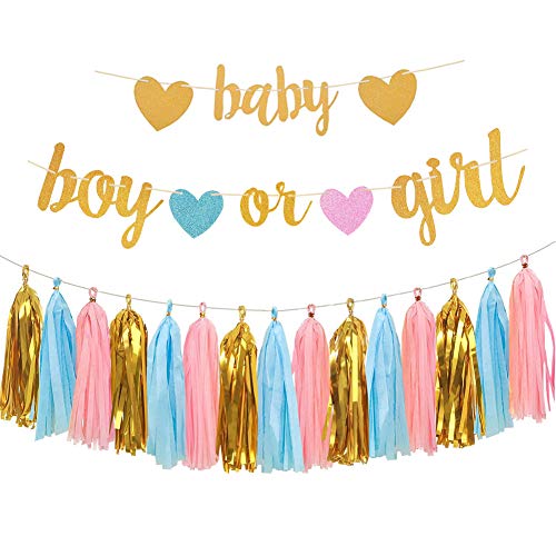 Gender Reveal Party Decorations - Glitter Letters Baby Boy or Girl Banners