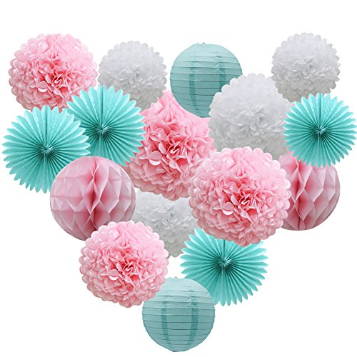 16pcs Pom Poms Flowers Paper Lanterns Hanging Tissue Fan for Bridal Shower